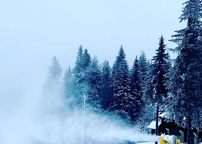 Apartment Val Jahorina